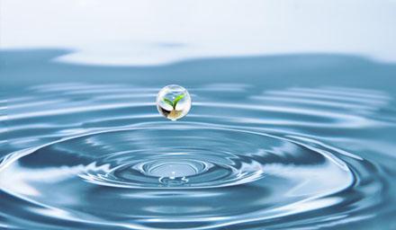 喜报 | beats股份成功获评“江苏省节水型企业”！